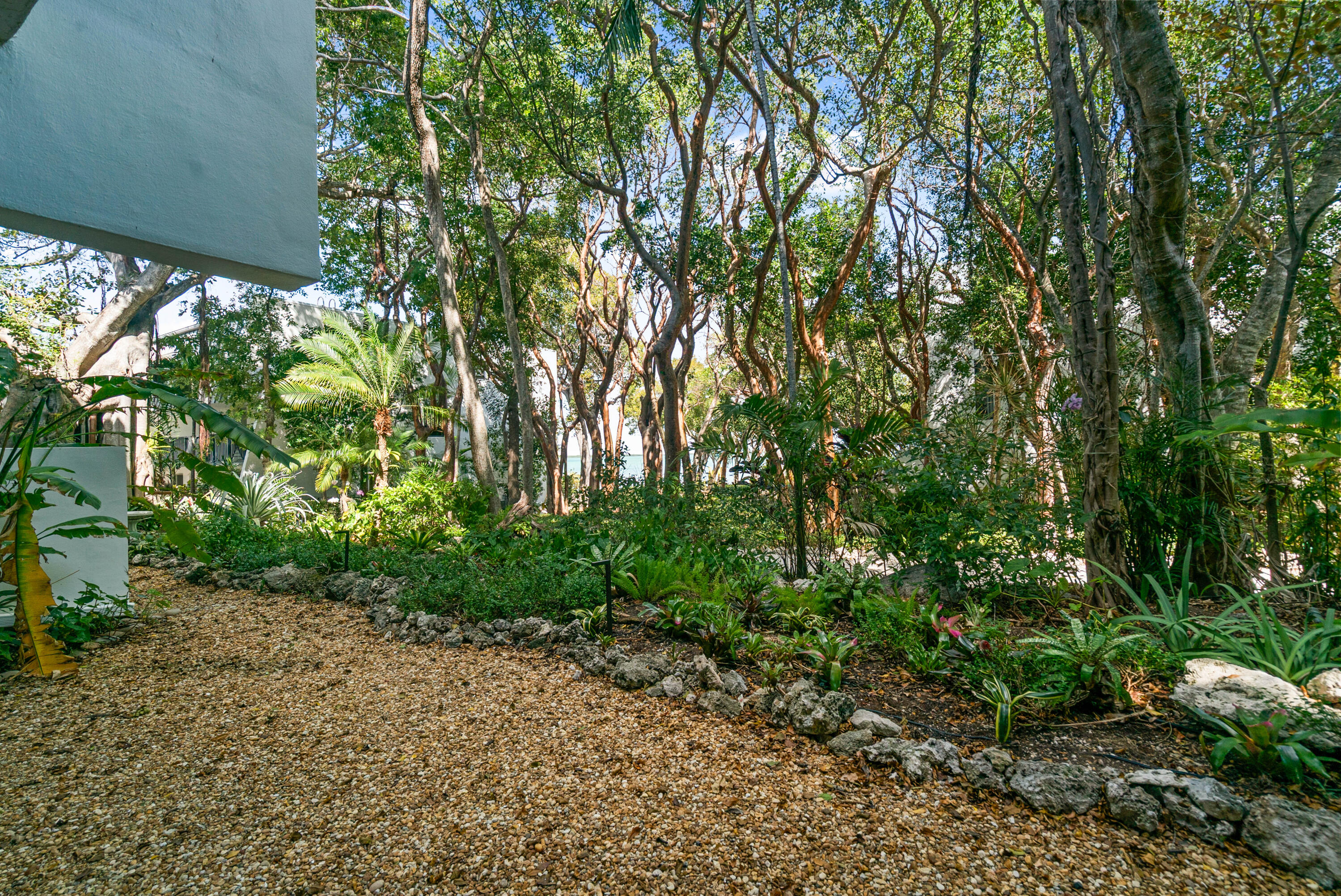 97652 Overseas Highway, Unit M4 Key Largo, FL 33037 - Photo 22 of 44 a backyard of a house with lots of green space