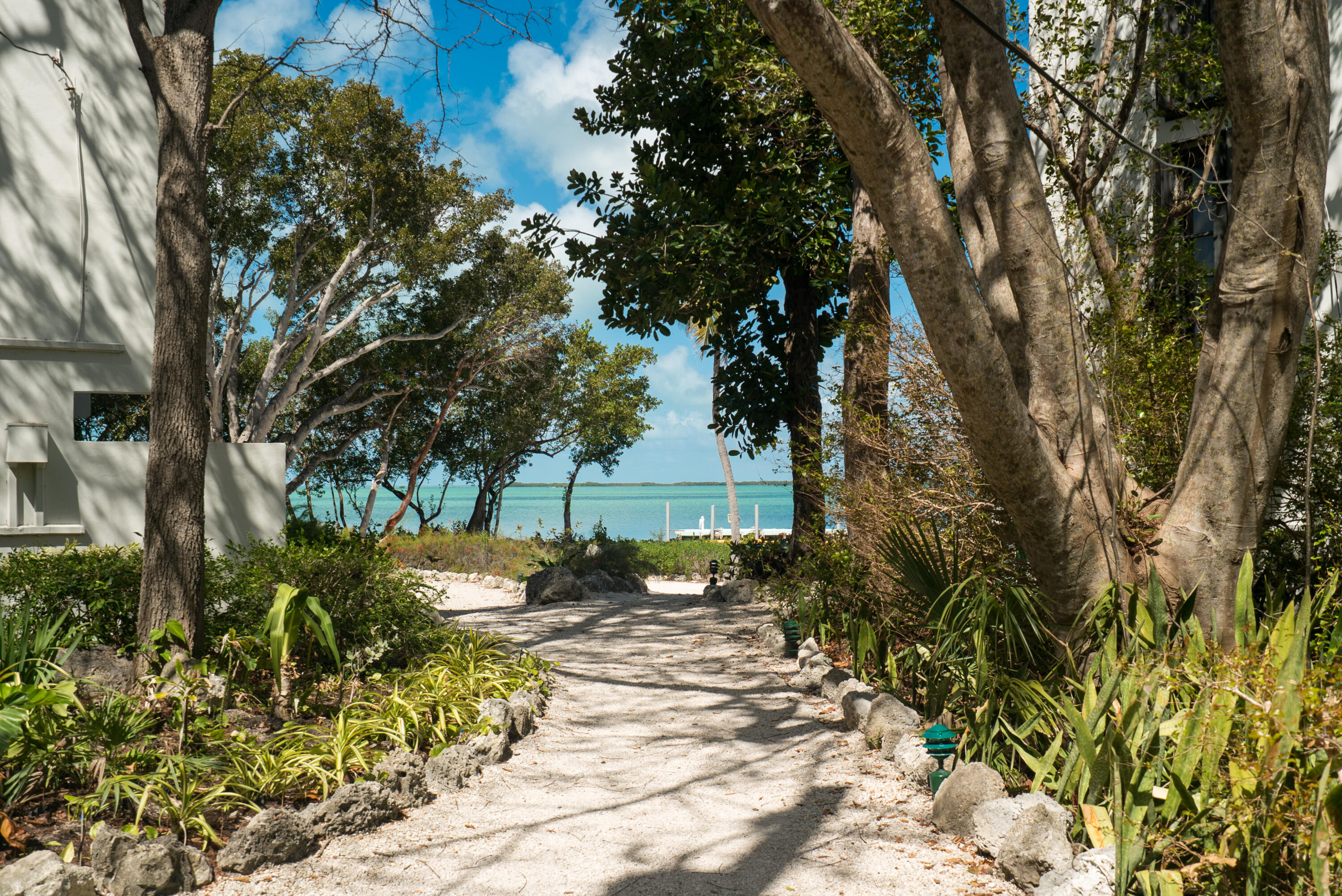 97652 Overseas Highway, Unit M4 Key Largo, FL 33037 - Photo 23 of 44 a view of a yard with plants and a large tree