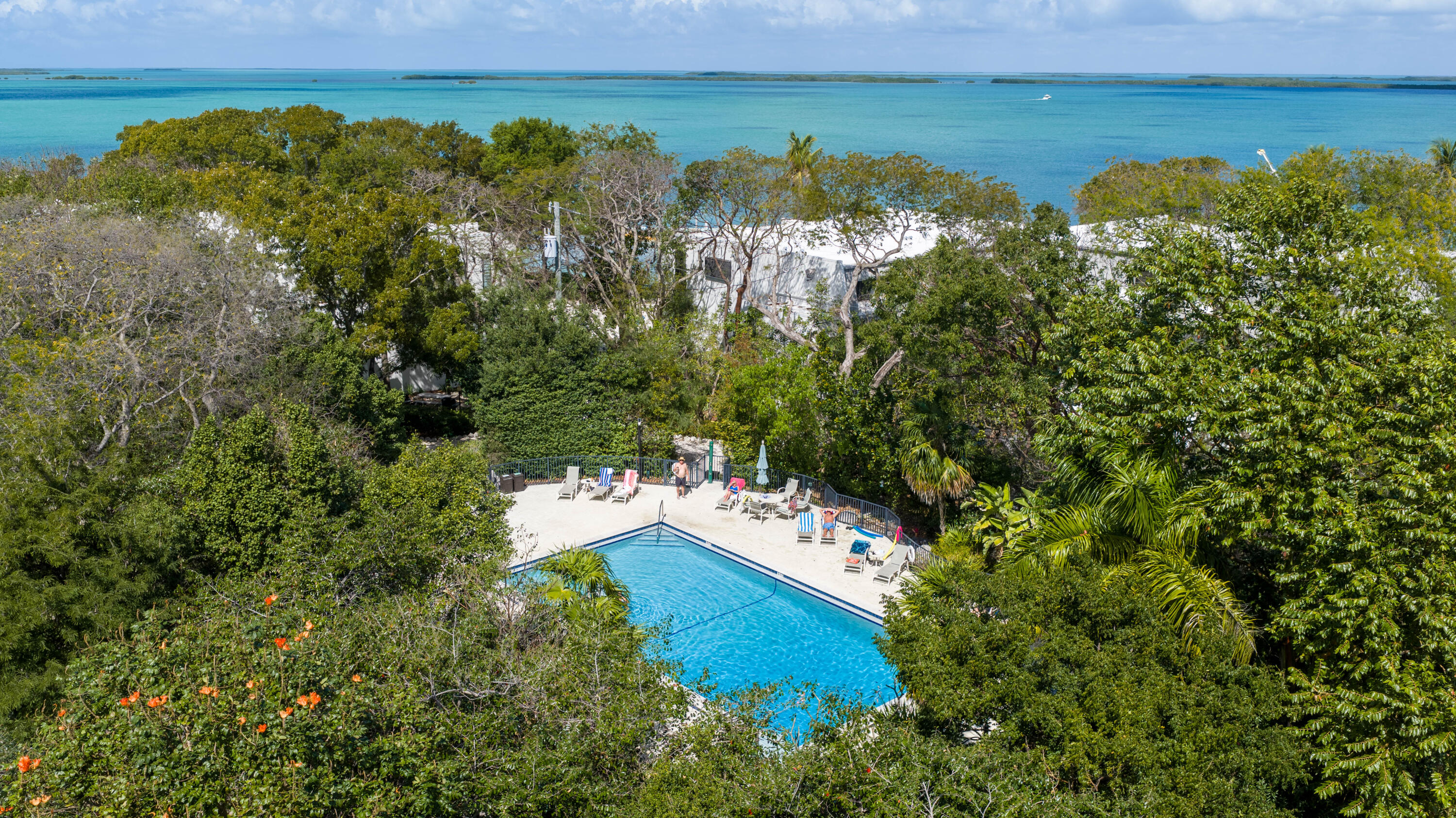 97652 Overseas Highway, Unit M4 Key Largo, FL 33037 - Photo 36 of 44 Pool