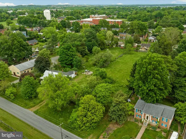 a view of a green yard with large trees