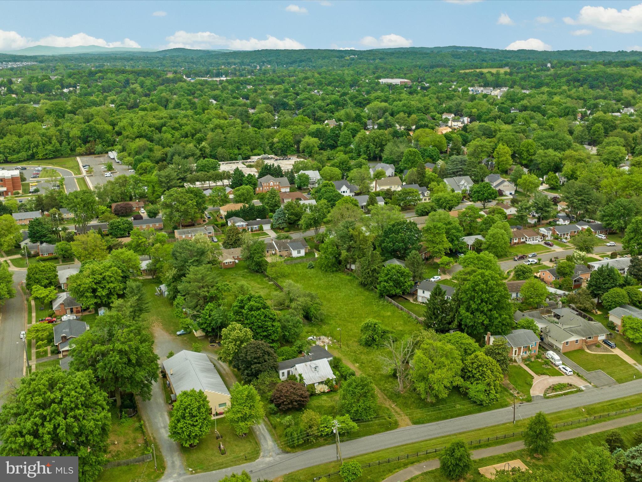 403 Old Waterford Road Northwest Leesburg, VA 20176 - Photo 6 of 14 a view of a green yard with large trees