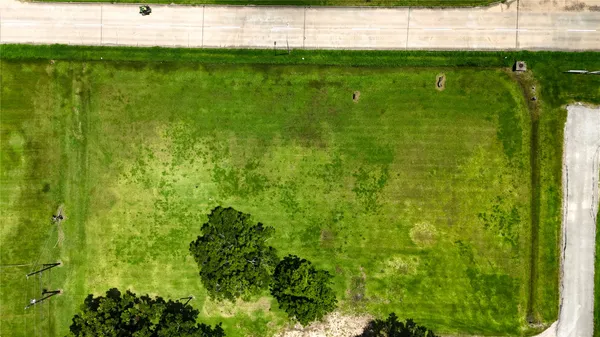 a view of yard with green space