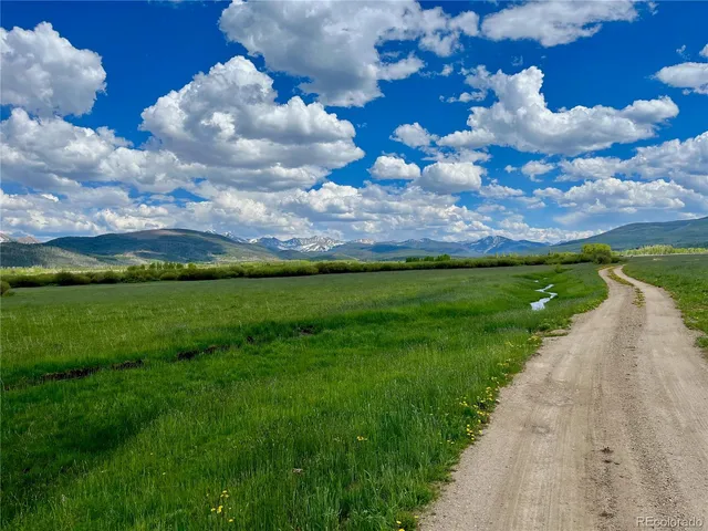 a view of a city with flower around