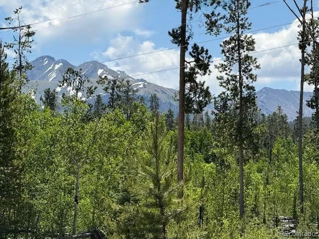 a view of a lake from a yard