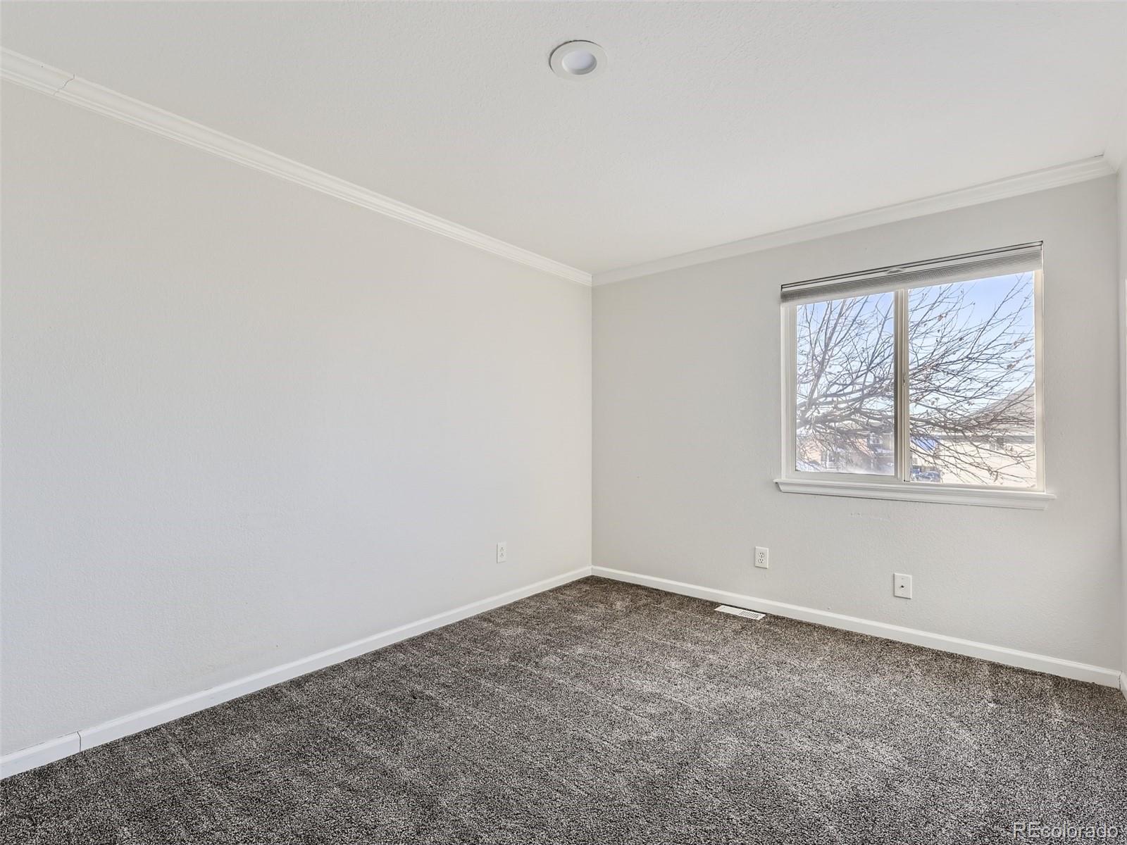 11085 Callaway Road Parker, CO 80138 - Photo 17 of 34 Gallery Image 17