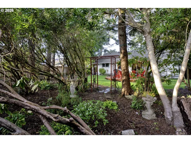 a view of a park with large trees
