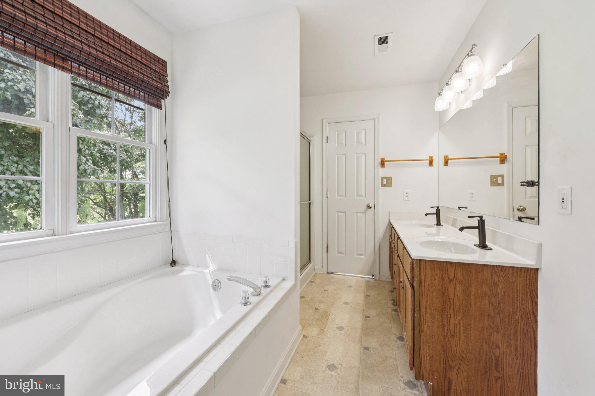 11607 River Meadows Way Fredericksburg, VA 22408 - Photo 36 of 67 a bathroom with a tub sink and mirror