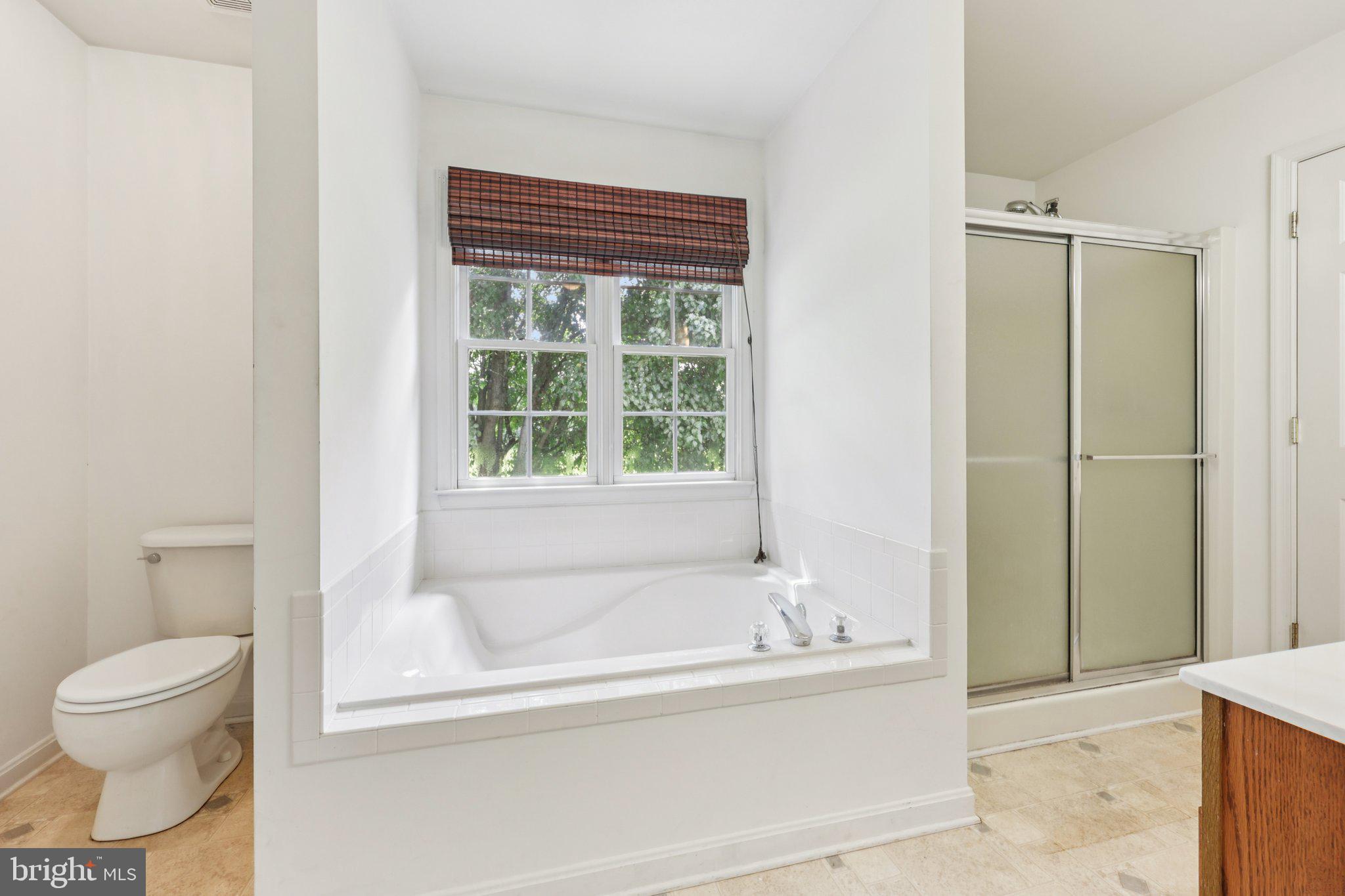 11607 River Meadows Way Fredericksburg, VA 22408 - Photo 38 of 67 a bathroom with a bathtub and a toilet