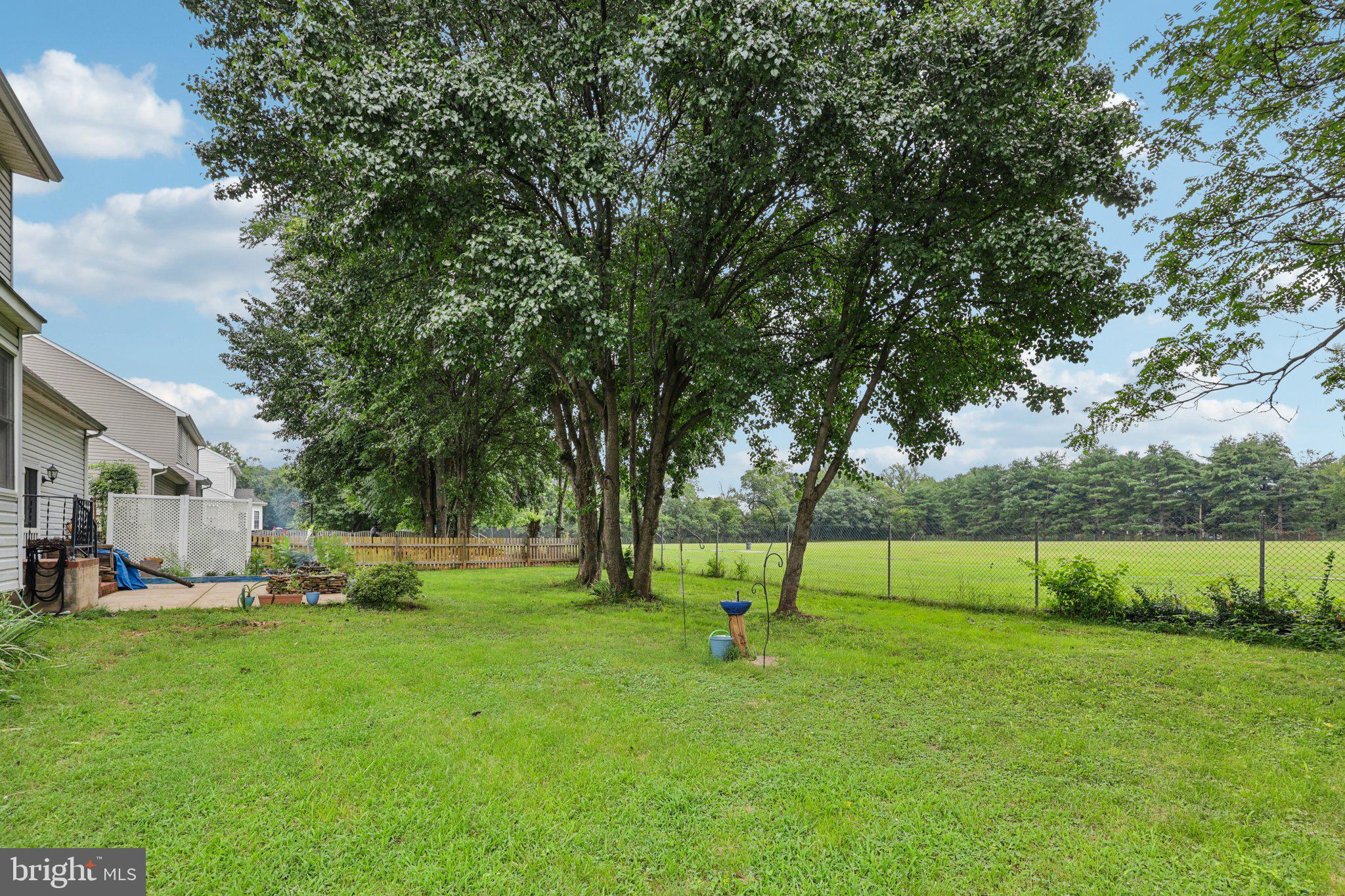 11607 River Meadows Way Fredericksburg, VA 22408 - Photo 61 of 67 a view of a park with large tree