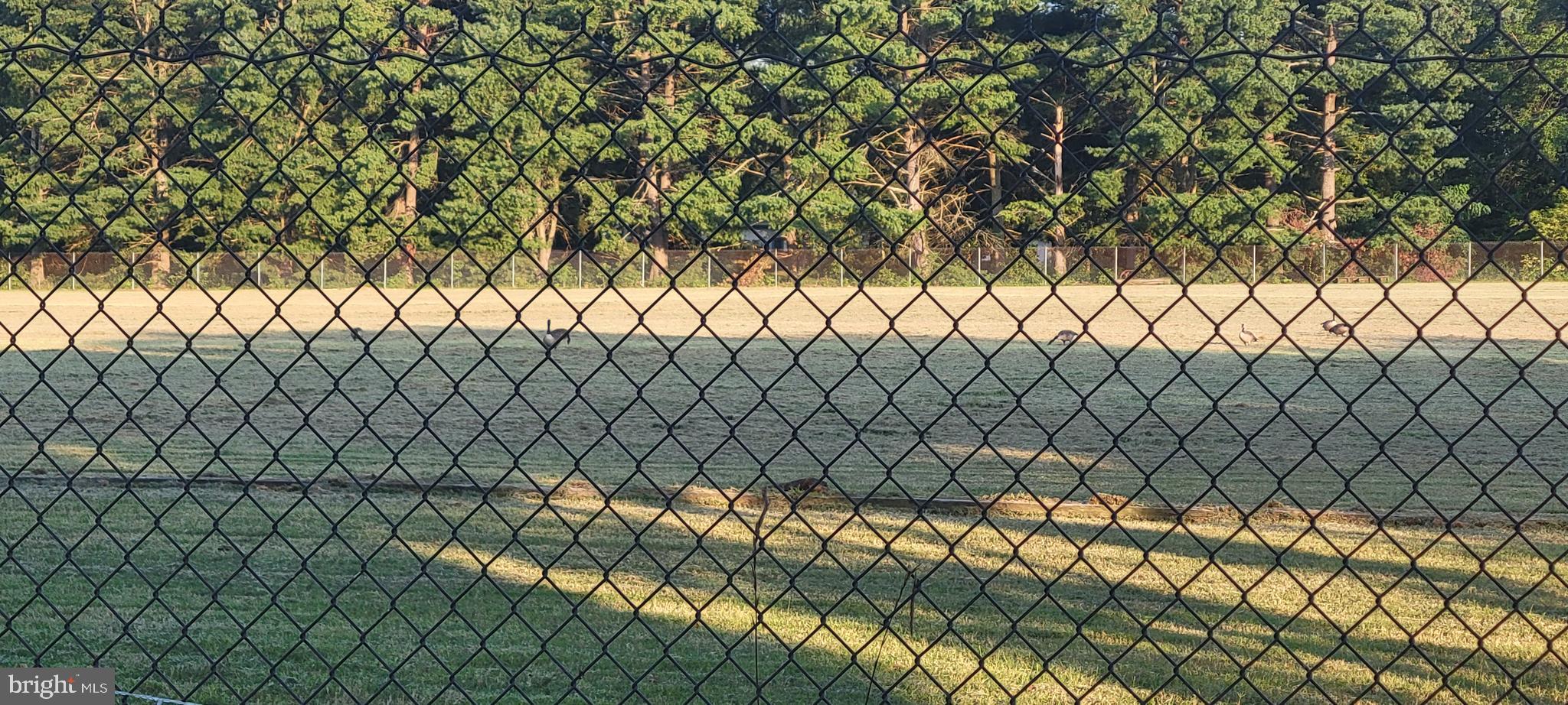 11607 River Meadows Way Fredericksburg, VA 22408 - Photo 66 of 67 Backyard view to field