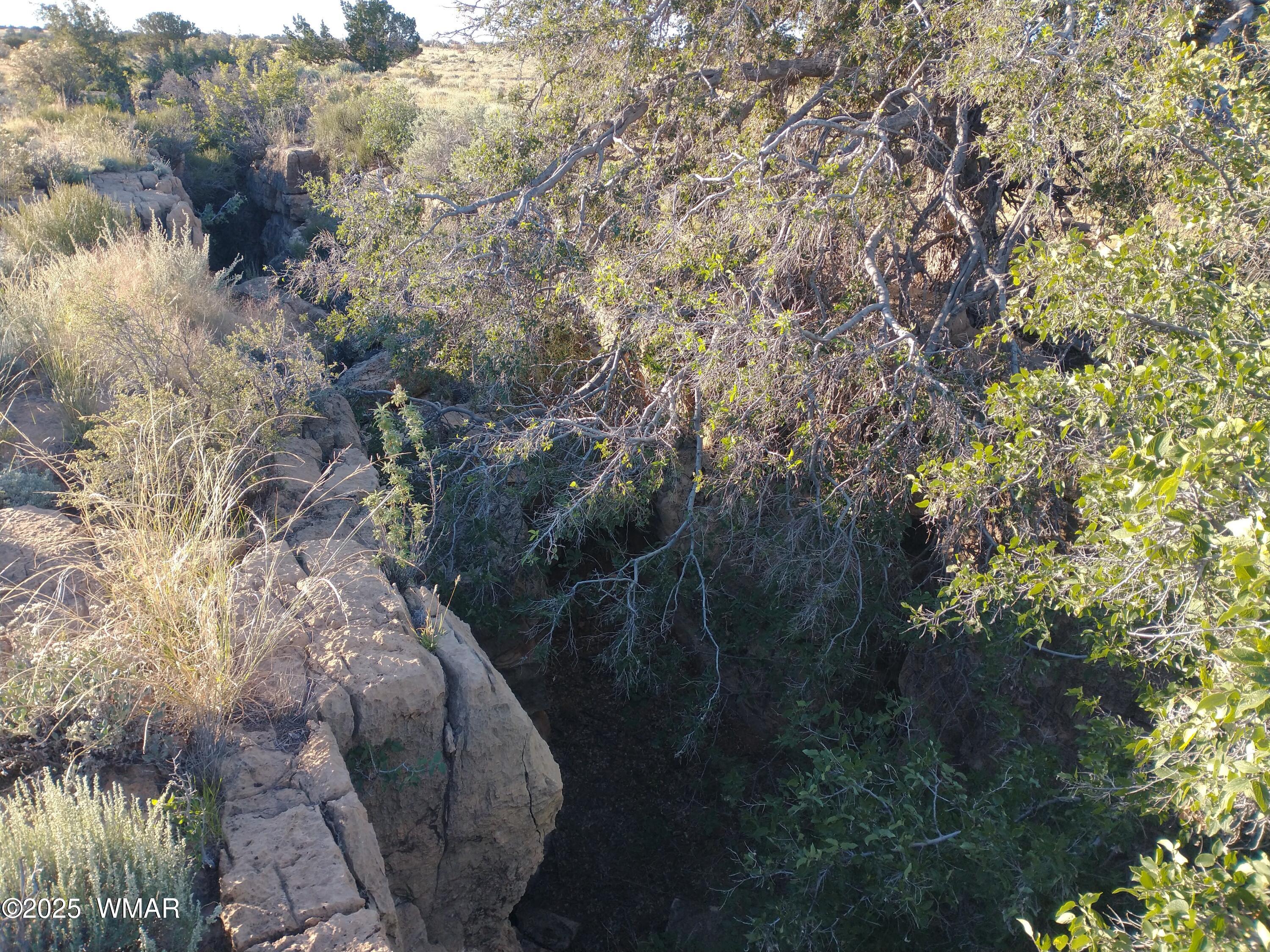 Lot 682 Chevelon Canyon Ranch Heber, AZ 85928 - Photo 1 of 5 IMG_20220925_070608726 (1)