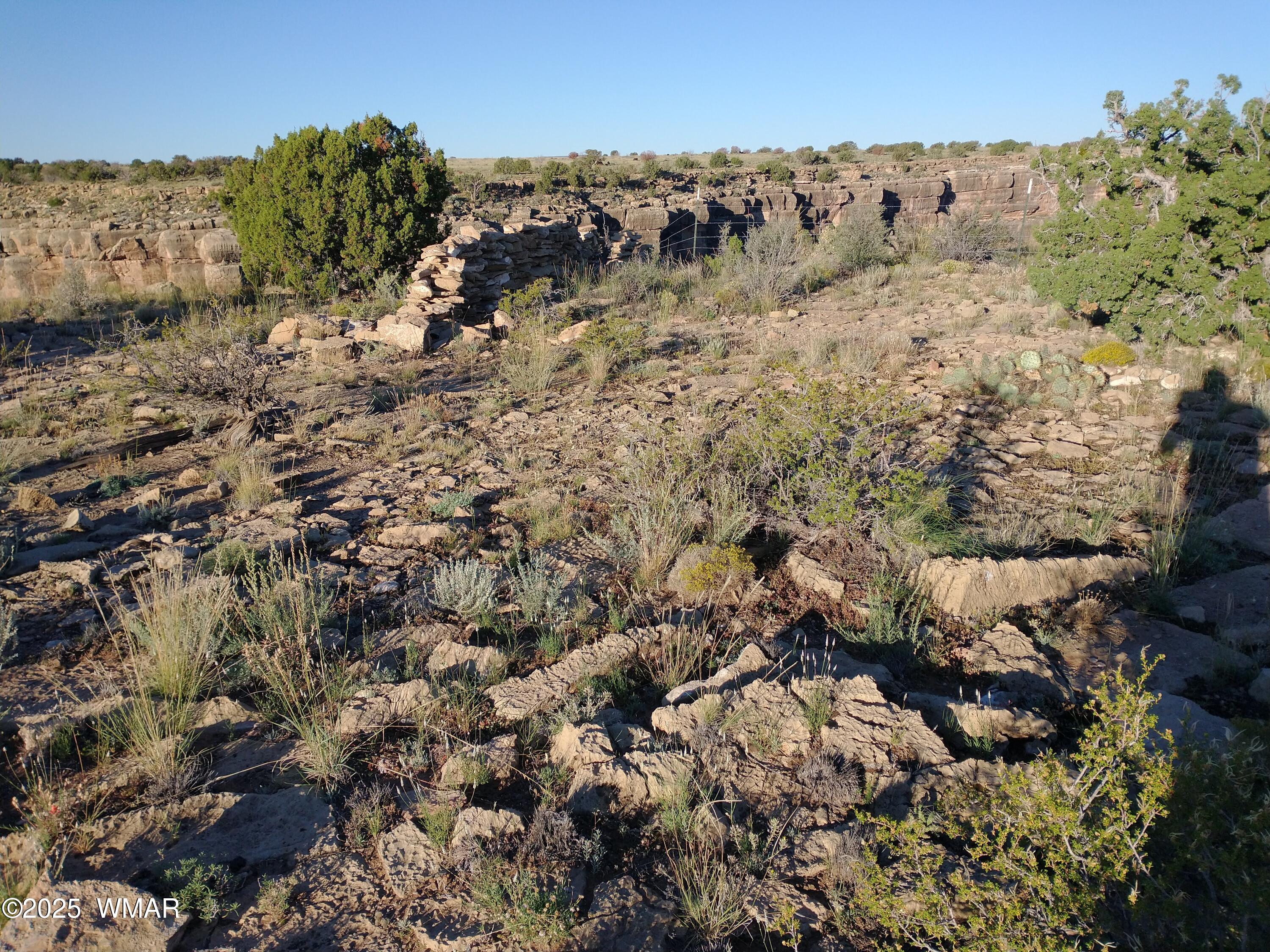Lot 682 Chevelon Canyon Ranch Heber, AZ 85928 - Photo 2 of 5 IMG_20220925_070943470