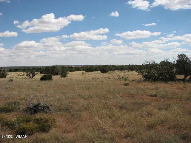 Lot 682 Chevelon Canyon Ranch Heber, AZ 85928 - Photo 3 of 5 3.jpg
