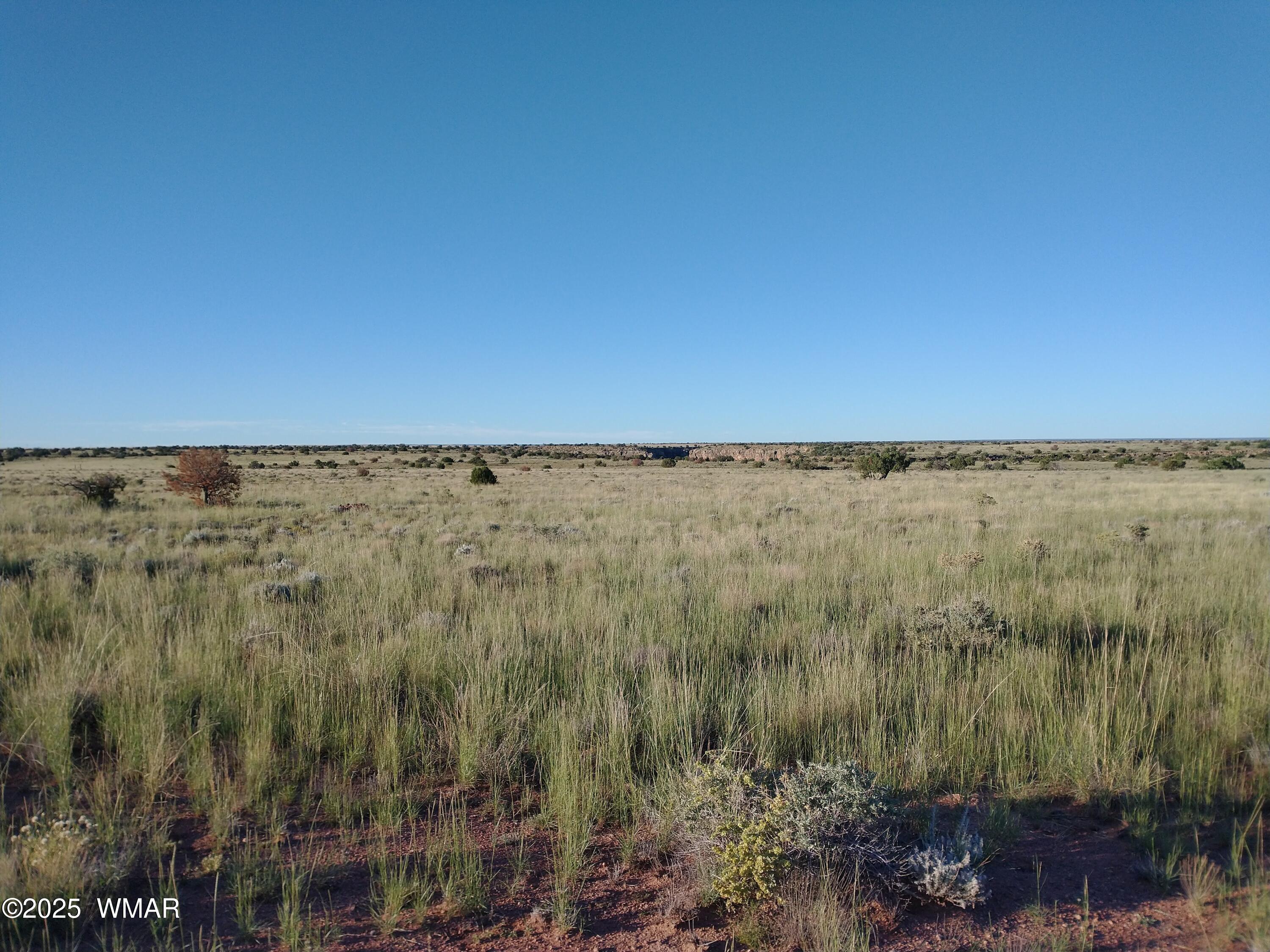 Lot 682 Chevelon Canyon Ranch Heber, AZ 85928 - Photo 5 of 5 IMG_20220925_065828586 (1)
