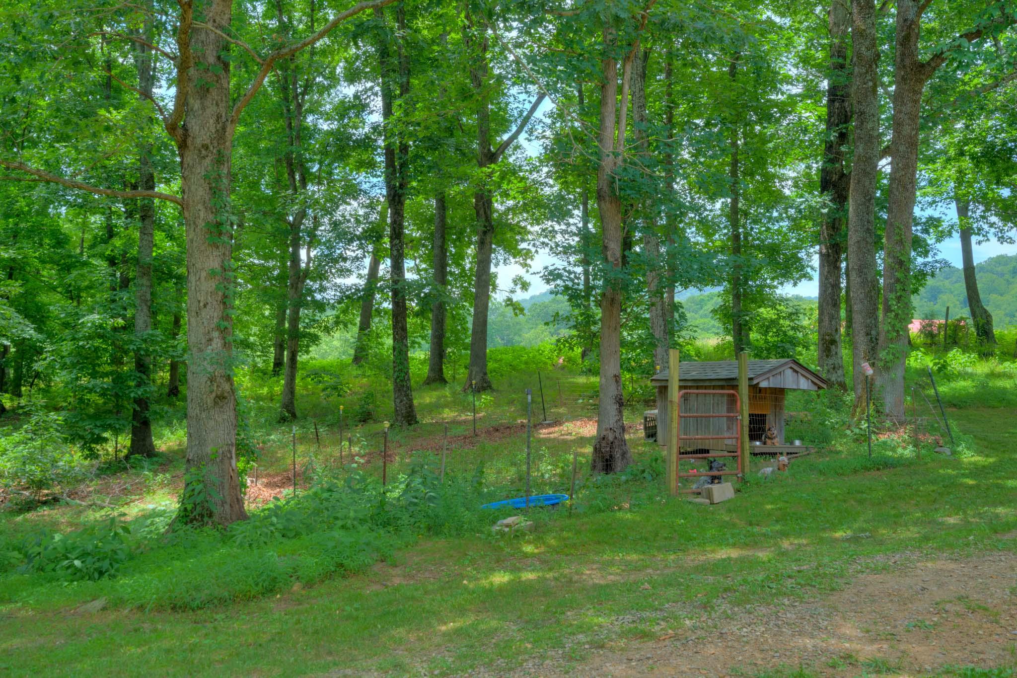 1201 Runnett Bag Road Ferrum, VA 24088 - Photo 13 of 49 a backyard of a house with plants and large trees