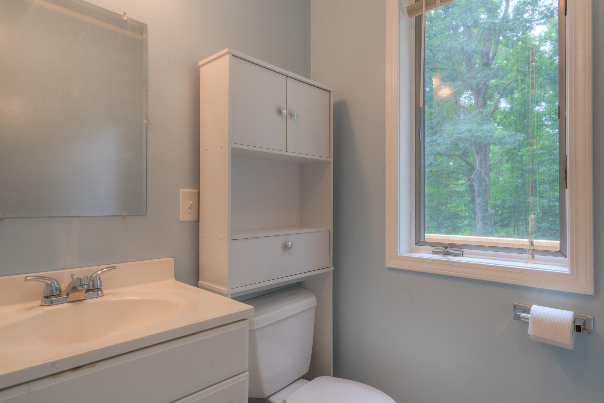 1201 Runnett Bag Road Ferrum, VA 24088 - Photo 29 of 49 a bathroom with a sink and a mirror