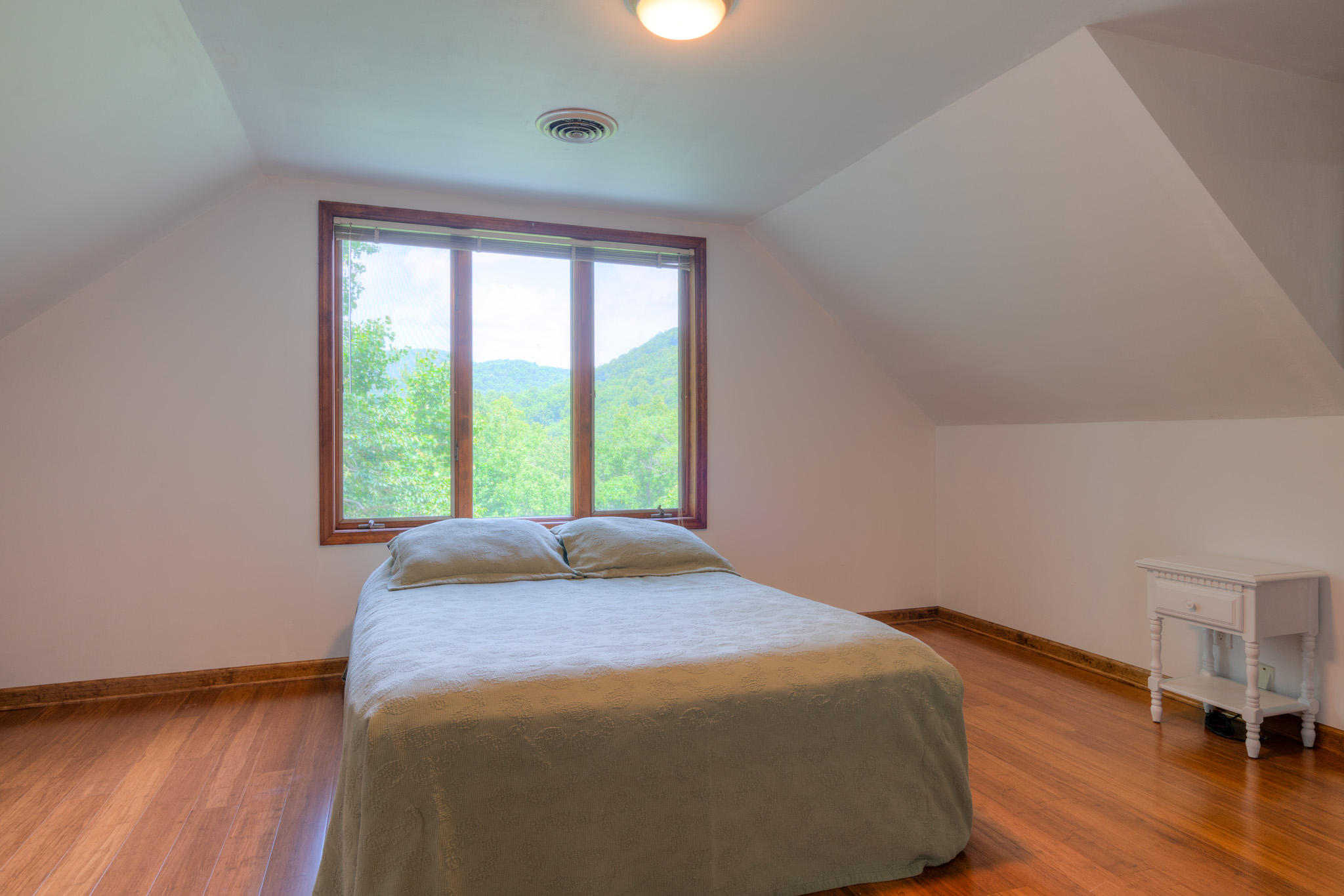 1201 Runnett Bag Road Ferrum, VA 24088 - Photo 30 of 49 a view of a bedroom with wooden floor and windows