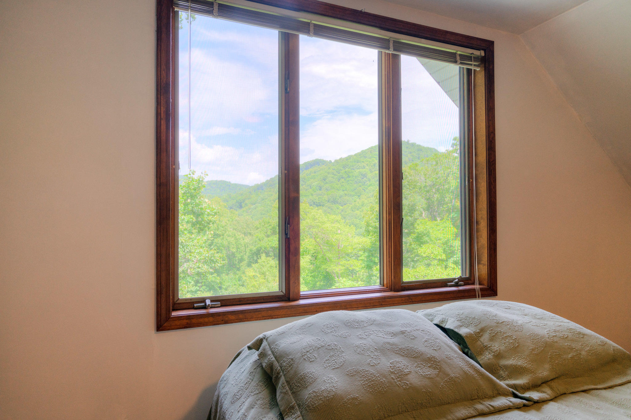 1201 Runnett Bag Road Ferrum, VA 24088 - Photo 31 of 49 a bed sitting in front of a window next to a window