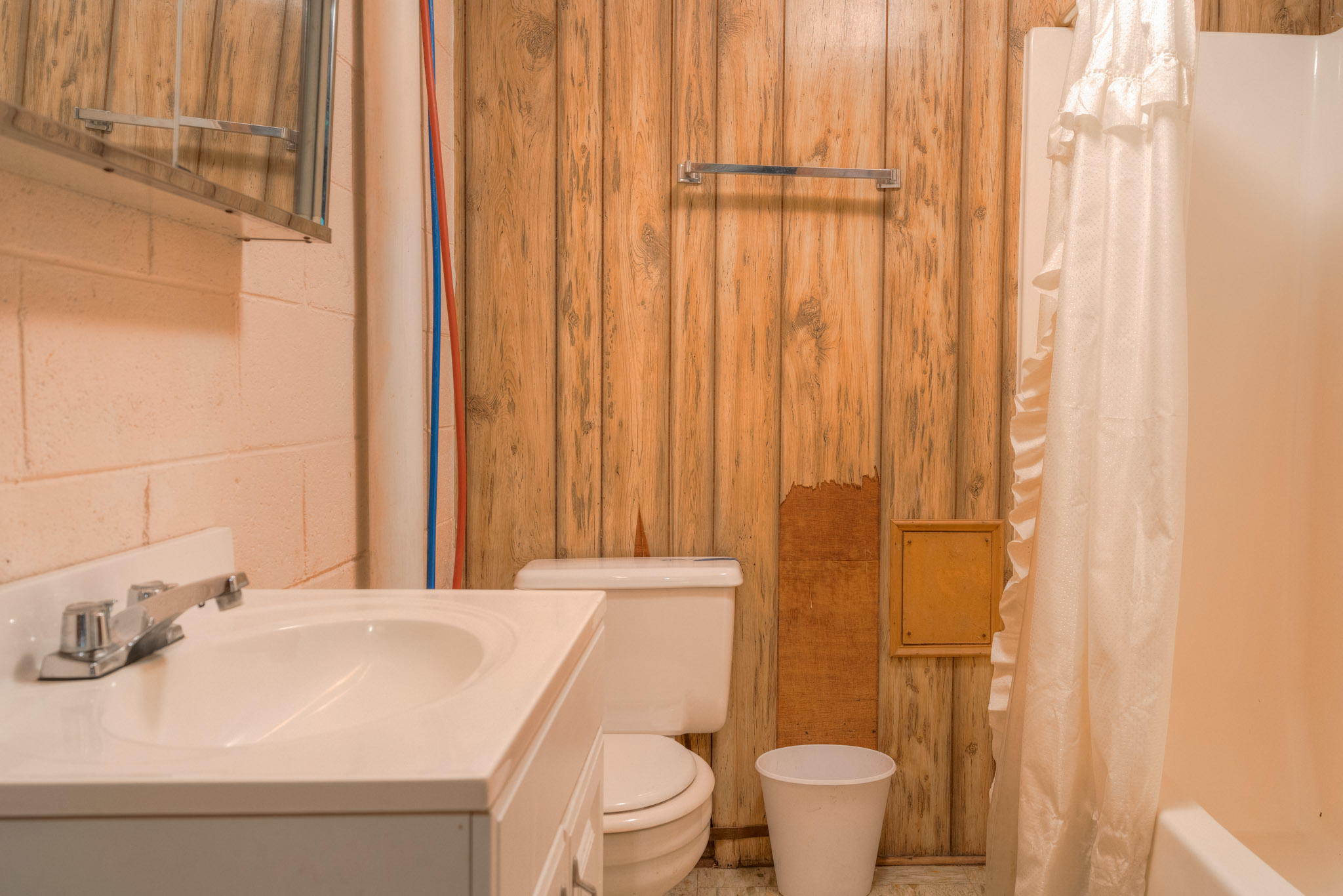 1201 Runnett Bag Road Ferrum, VA 24088 - Photo 40 of 49 a bathroom with a sink a toilet and shower curtain