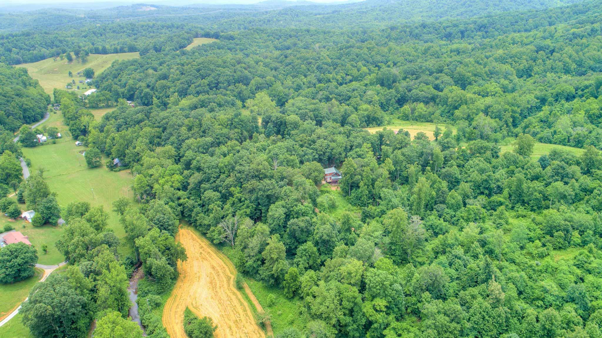 1201 Runnett Bag Road Ferrum, VA 24088 - Photo 48 of 49 a view of a lake and green space