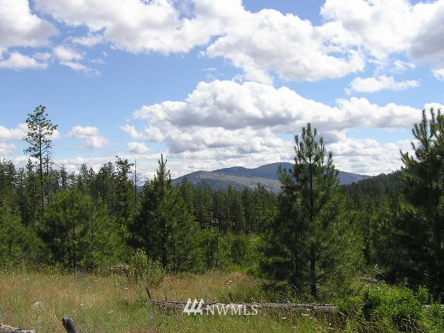 X Patterson Creek Road Tonasket, WA 98855 - Photo 1 of 15 Gallery Image 1