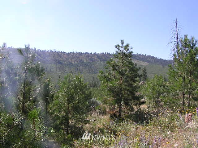 X Patterson Creek Road Tonasket, WA 98855 - Photo 2 of 15 Gallery Image 2