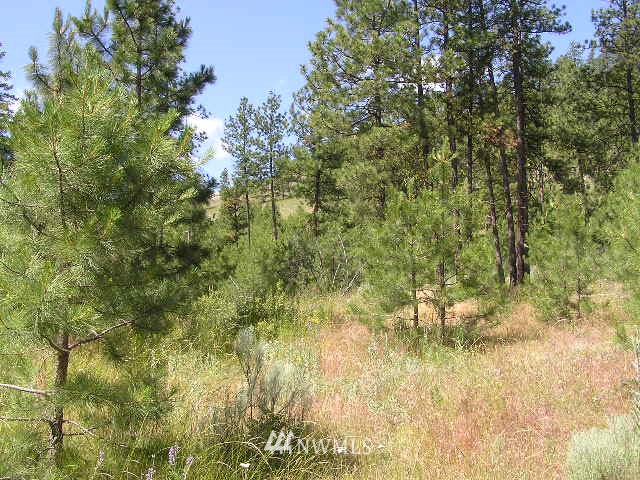 X Patterson Creek Road Tonasket, WA 98855 - Photo 11 of 15 Gallery Image 11