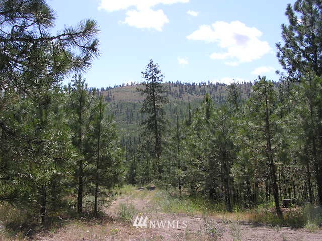 X Patterson Creek Road Tonasket, WA 98855 - Photo 12 of 15 Gallery Image 12