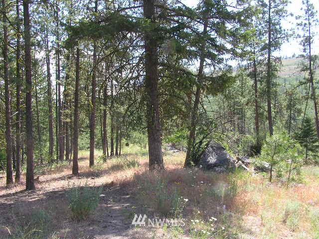 X Patterson Creek Road Tonasket, WA 98855 - Photo 13 of 15 Gallery Image 13