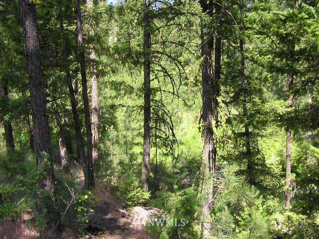 X Patterson Creek Road Tonasket, WA 98855 - Photo 14 of 15 Gallery Image 14