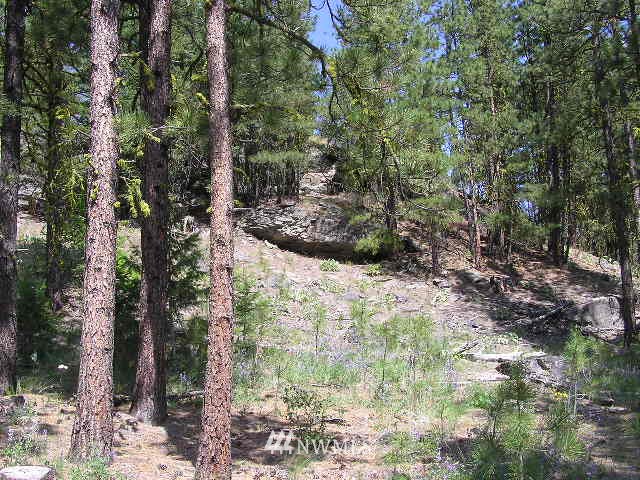 X Patterson Creek Road Tonasket, WA 98855 - Photo 15 of 15 Gallery Image 15