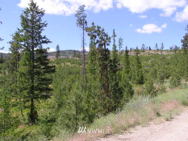 X Patterson Creek Road Tonasket, WA 98855 - Photo 3 of 15 Gallery Image 3