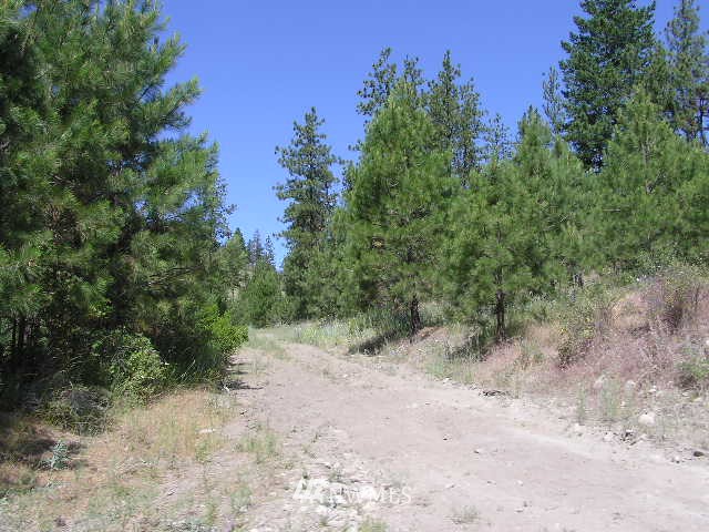 X Patterson Creek Road Tonasket, WA 98855 - Photo 4 of 15 Gallery Image 4