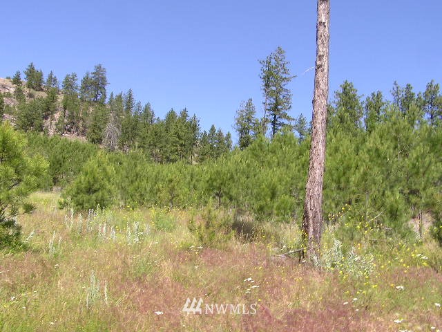 X Patterson Creek Road Tonasket, WA 98855 - Photo 5 of 15 Gallery Image 5