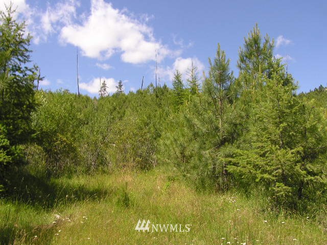 X Patterson Creek Road Tonasket, WA 98855 - Photo 6 of 15 Gallery Image 6