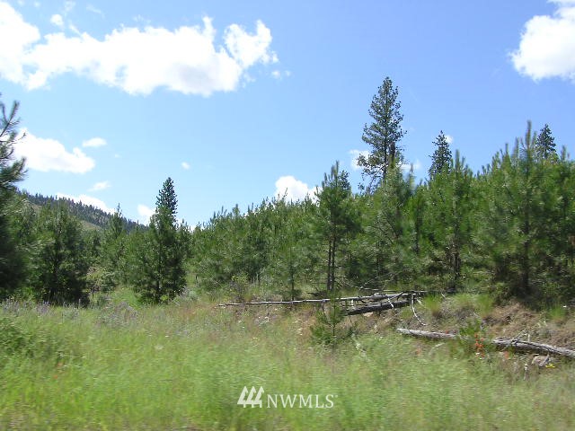 X Patterson Creek Road Tonasket, WA 98855 - Photo 7 of 15 Gallery Image 7