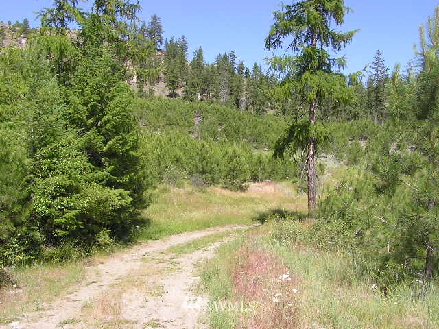 X Patterson Creek Road Tonasket, WA 98855 - Photo 8 of 15 Gallery Image 8