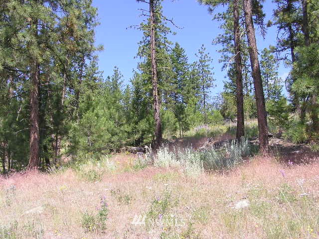 X Patterson Creek Road Tonasket, WA 98855 - Photo 9 of 15 Gallery Image 9