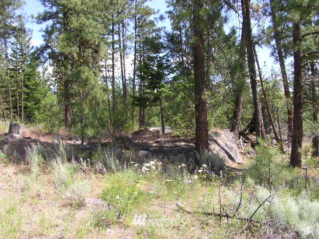 X Patterson Creek Road Tonasket, WA 98855 - Photo 10 of 15 Gallery Image 10