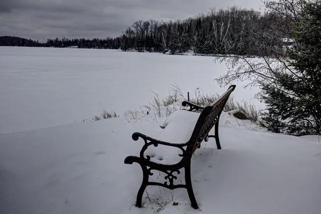 $494,900 | 1462 Lily Lake Lane North, Pickerel, WI 54465