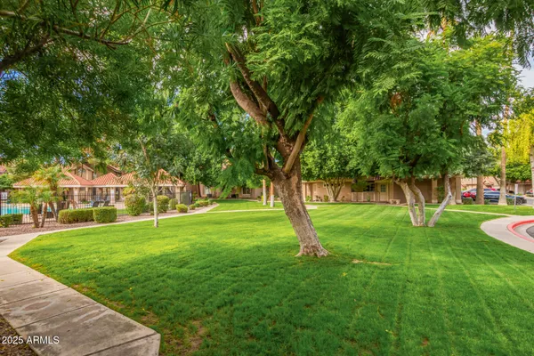 a huge green field with lots of trees