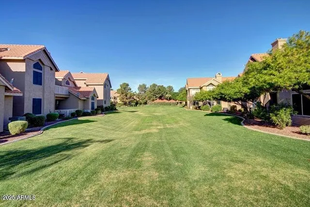a yard with some trees in the background