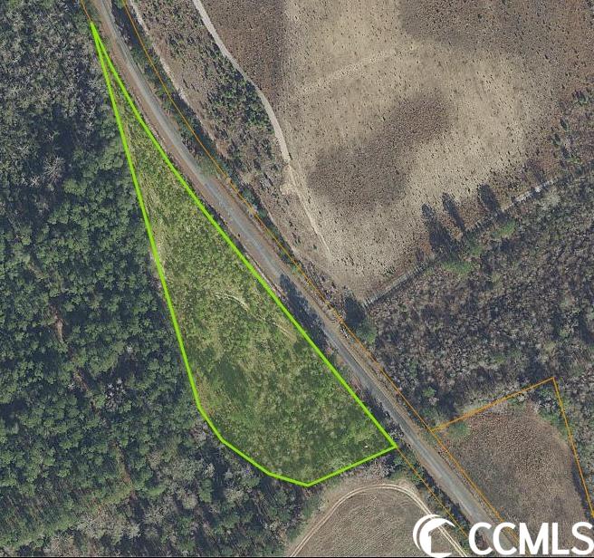 Tbd2 Sand Plant Road Nichols, SC 29581 - Photo 2 of 2 Gallery Image 2