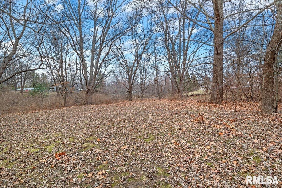 4035 Cessna Lane Springfield, IL 62707 - Photo 9 of 23 Gallery Image 9
