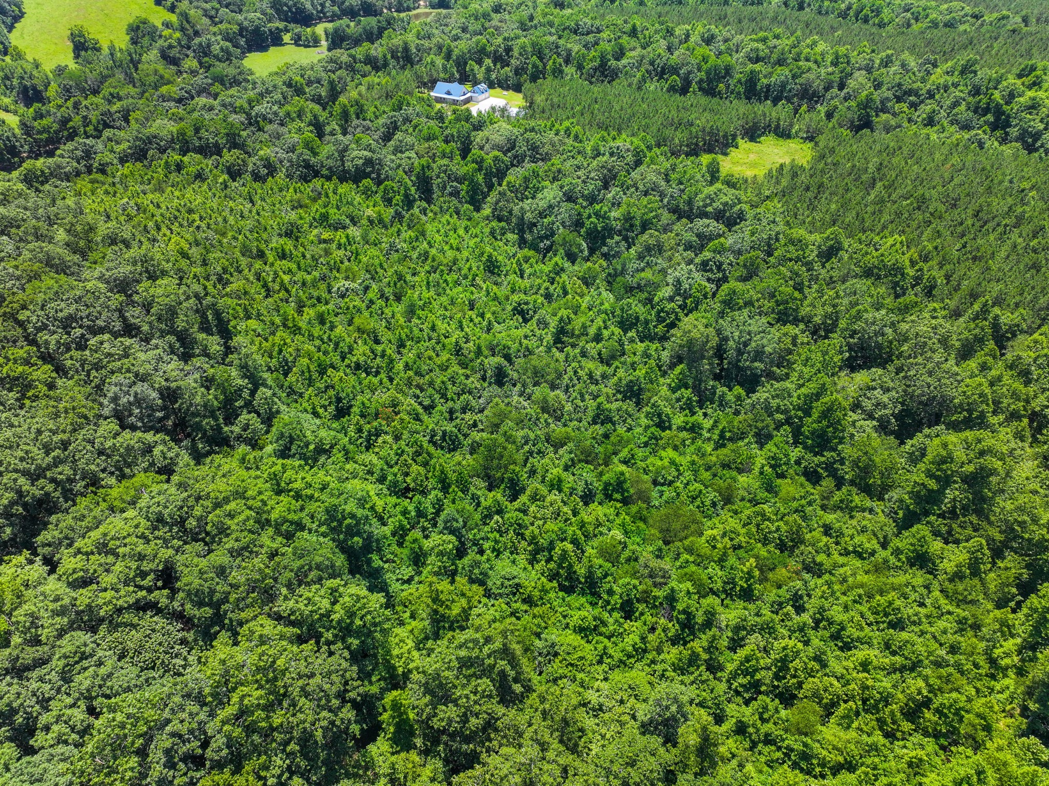 528 Upper Alsup Road Tennessee Ridge, TN 37178 - Photo 14 of 66 Gallery Image 14