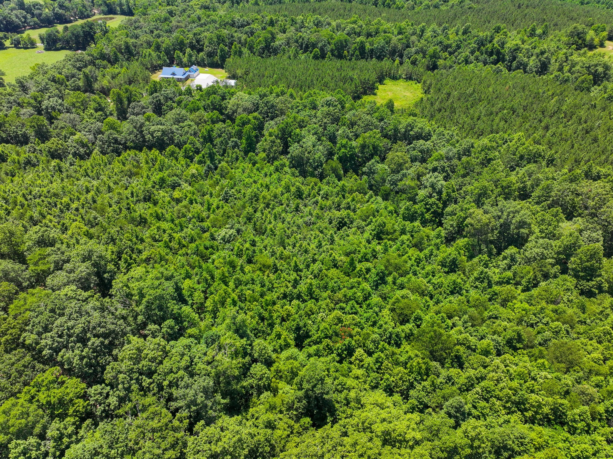 528 Upper Alsup Road Tennessee Ridge, TN 37178 - Photo 15 of 66 Gallery Image 15