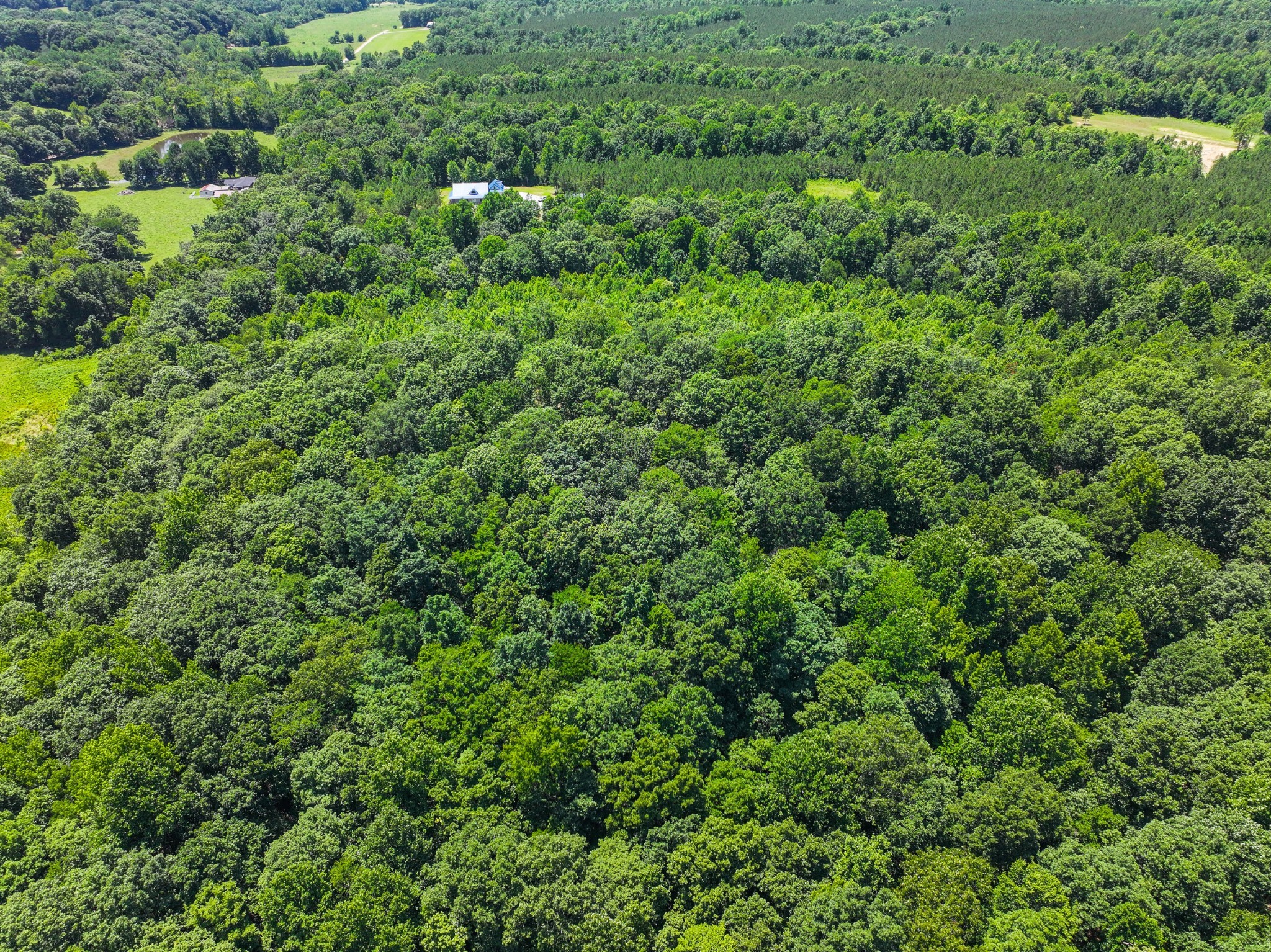 528 Upper Alsup Road Tennessee Ridge, TN 37178 - Photo 58 of 66 Gallery Image 58