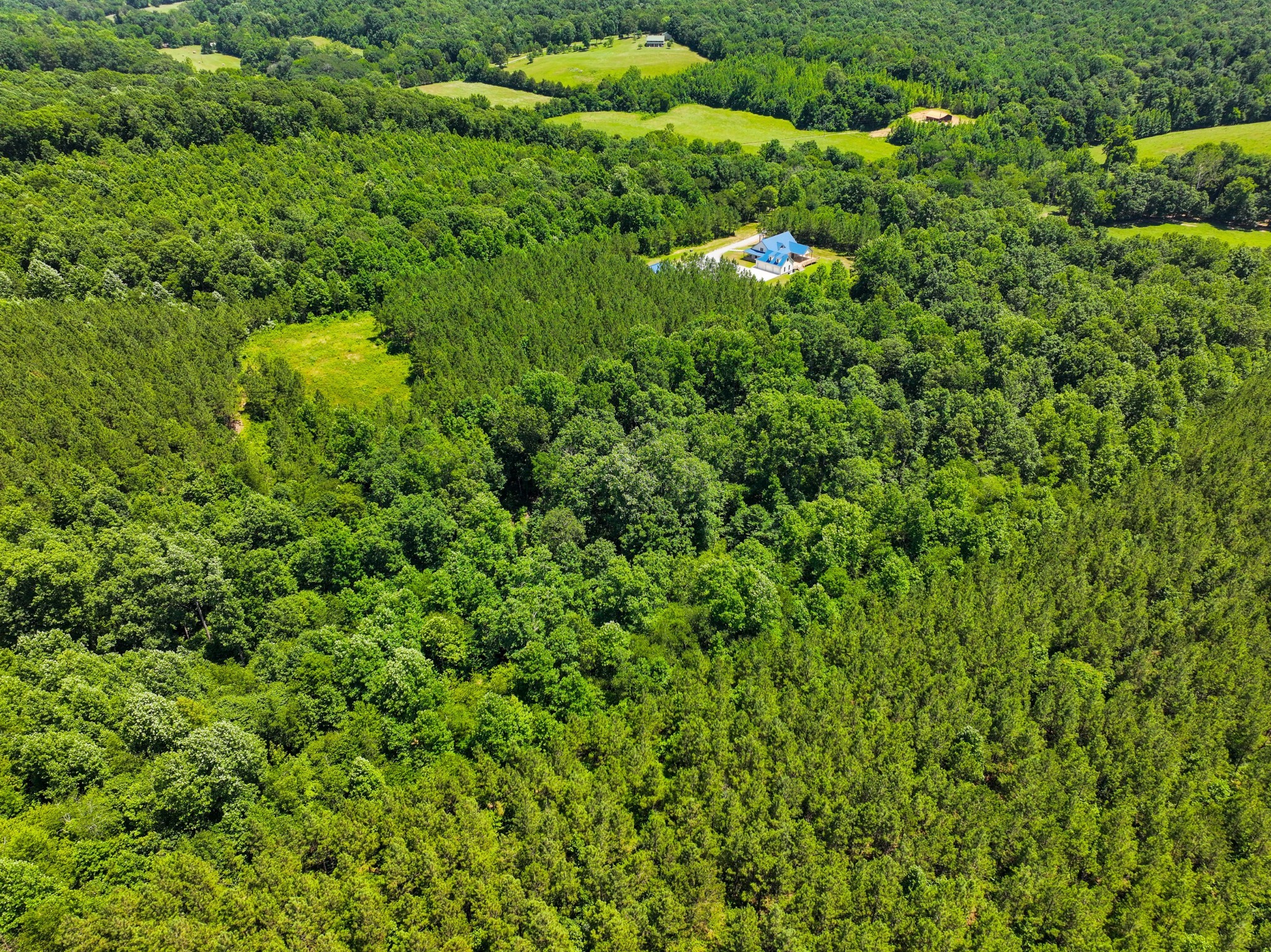 528 Upper Alsup Road Tennessee Ridge, TN 37178 - Photo 64 of 66 Gallery Image 64