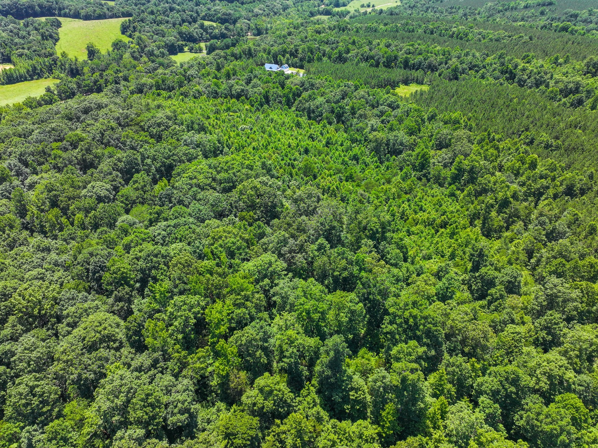 528 Upper Alsup Road Tennessee Ridge, TN 37178 - Photo 65 of 66 Gallery Image 65