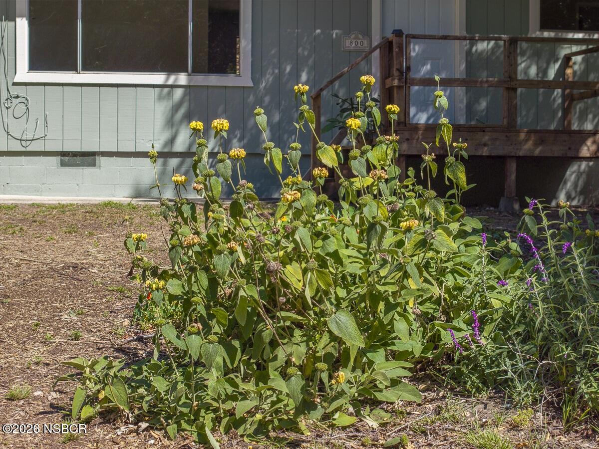 870 Lasalle Canyon Road Lompoc, CA 93436 - Photo 33 of 45 LaSalle Canyon - Web-33